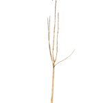 a2a013146b1bc776d1f9f95c6d28ede4