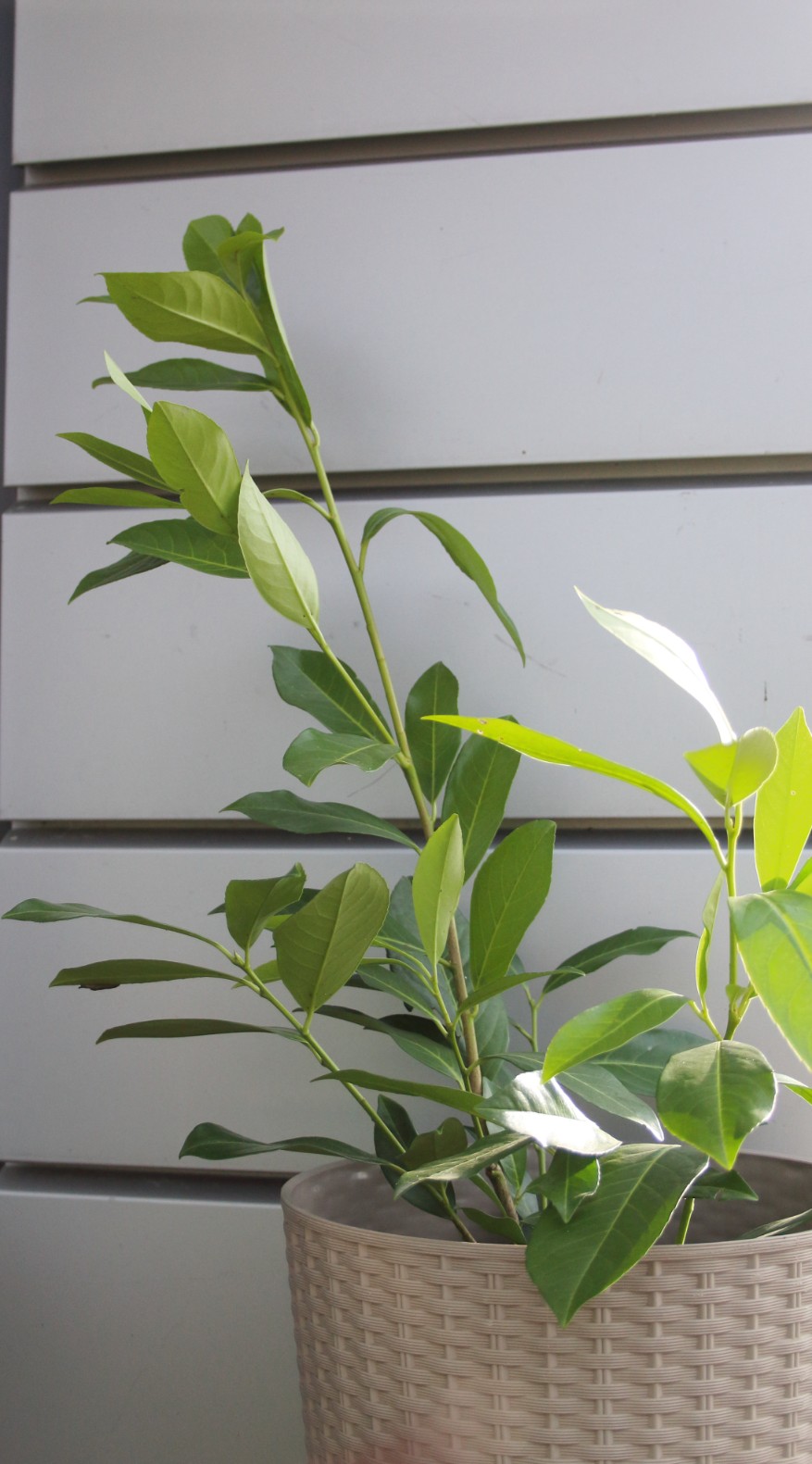 7aa70642da1bfa9993b61197d457eecc