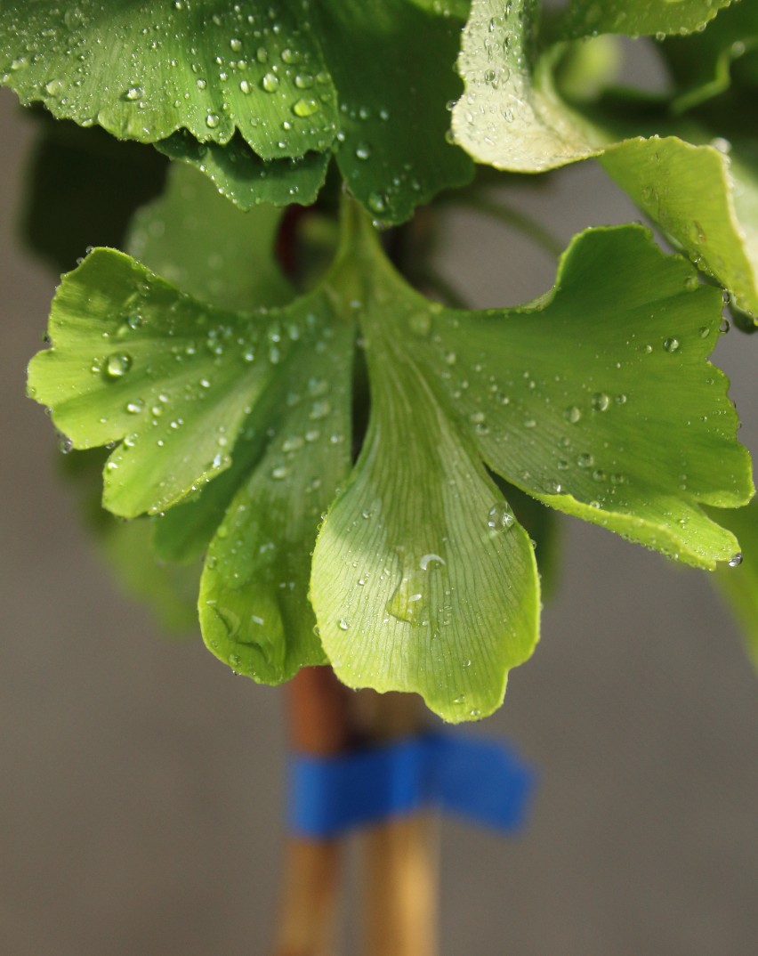 b02ccefb1598b48565118a644dfda6bd