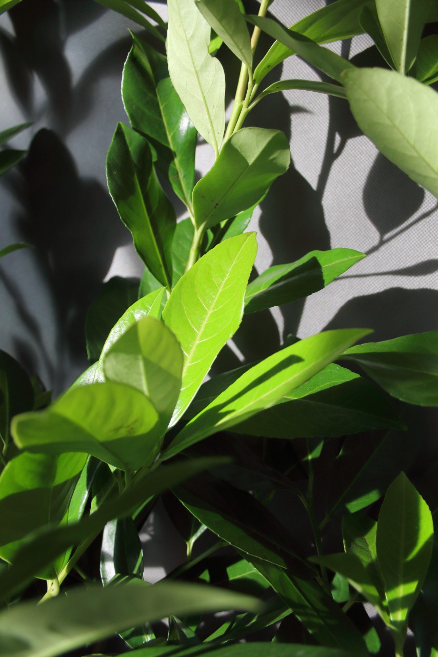 63cc7d04cd547b82e7d94e174ee1089f