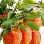 db70fdc4596b7f082a935e4ba79969e7