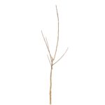 8d97121ef779eb03f2a0a3b177e7bf15