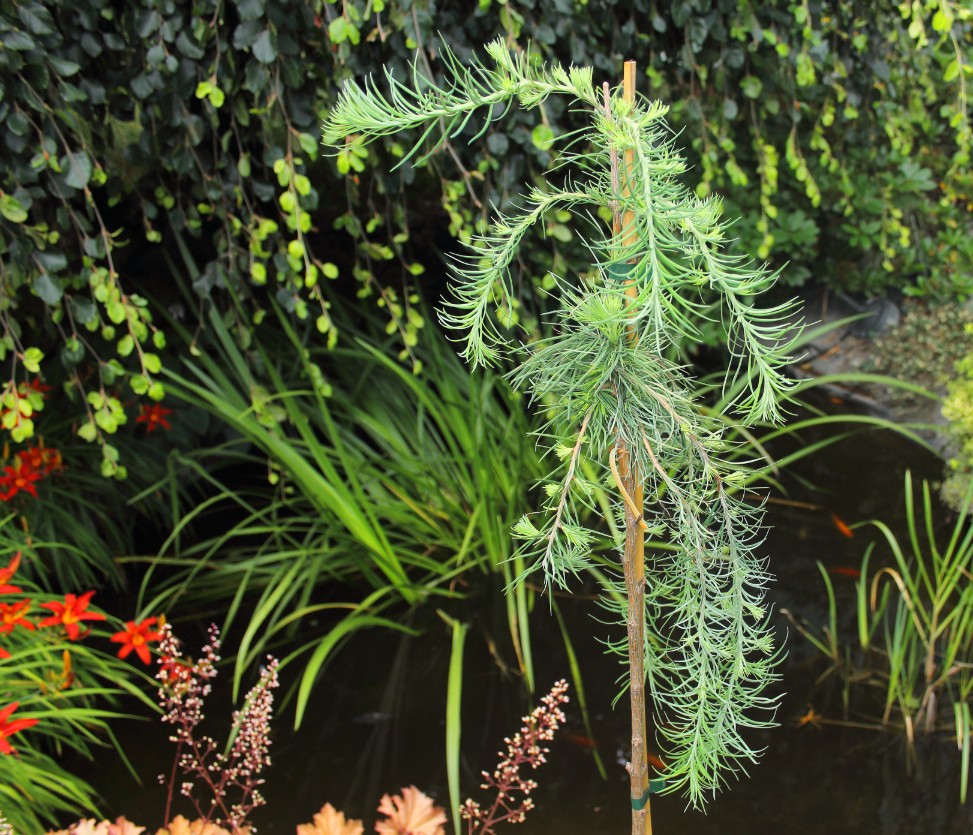 f1aacfea26a0d938e535e59646234373