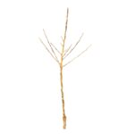 7ee07e05a510dda0d075c47edd769856