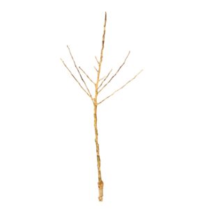 7ee07e05a510dda0d075c47edd769856