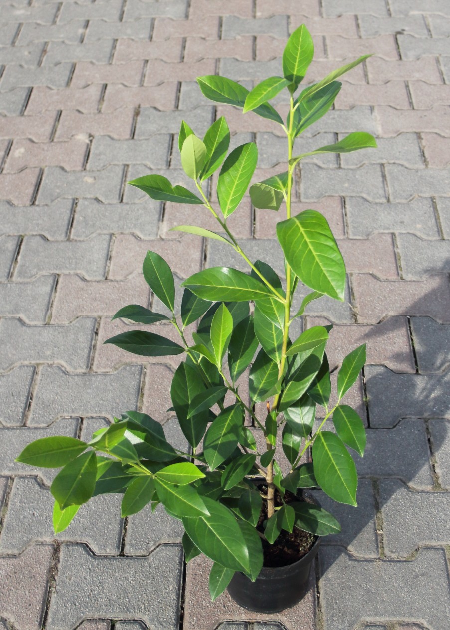 797f62f755c845108f2d6e5f500618e6