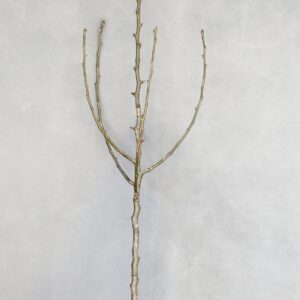 66e70cd0deda173fcfc92fbc6dc4e59a