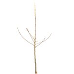 9fd04e2008ac56ef8c9d96077fabc5ca