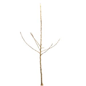 9fd04e2008ac56ef8c9d96077fabc5ca