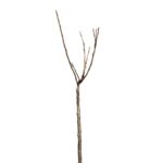 456fe85e8fca3b01f06605de0b5e291d