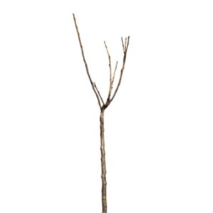 456fe85e8fca3b01f06605de0b5e291d