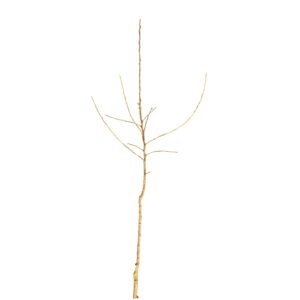 af91e09ab5a8f1796914b152ba1763f5