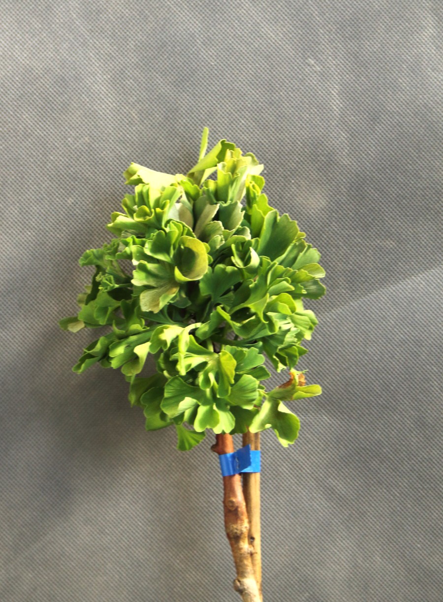 bda8423fb6a4f58fa71adbcf433e5ba5