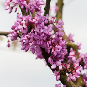 6fad2367b1cc6481b661f5bfb9d417e1