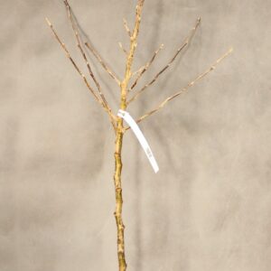 fd1f06aac9dece5aa98fed97f055f6a2