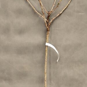 e573a9506a6dc5ab2ccba62a60205c36