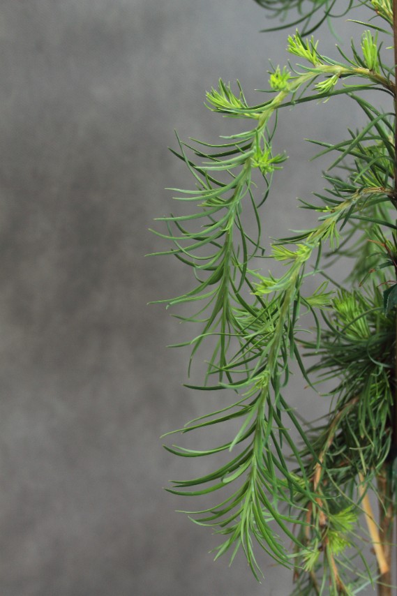 7abd76f787f7556a5f0585e1ffcb0693