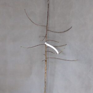 f1ee19887b88144581746e3ed8503dc8