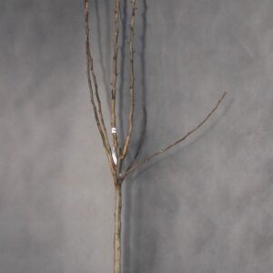 3470c87777c75bcb1e39f7ae4d3131ea