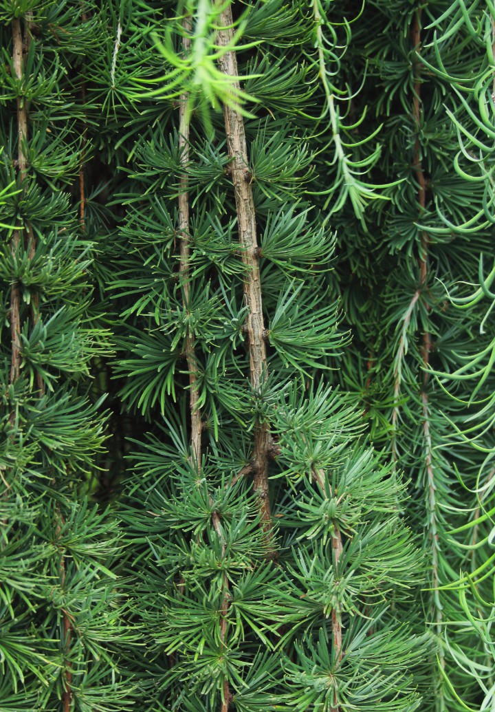 161b87e90598a523244cbf97dfdad1a1