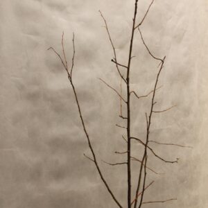 9a7a318a7d6051d7315c54c2f9d7a6f8