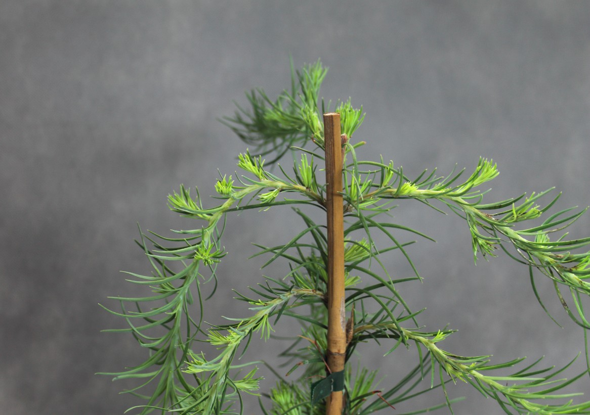 5b35ee5a5a638d4c41fe10bb3a0af3b9