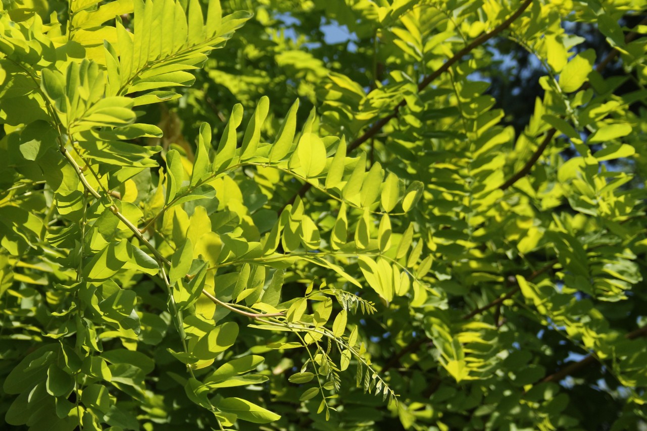 a725c05fcc21682c08d18016b3bf3297