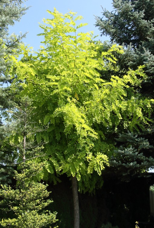 343c5329262cf47570f054e871b2e989