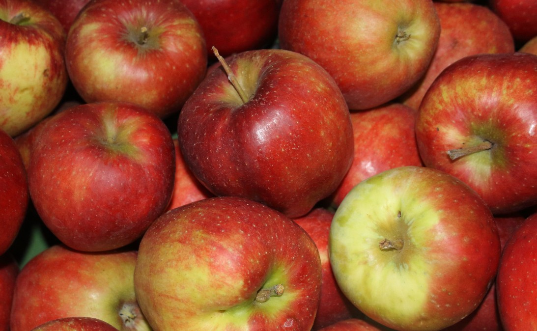 540d77e5295f2dfdb0a821debd6f837d