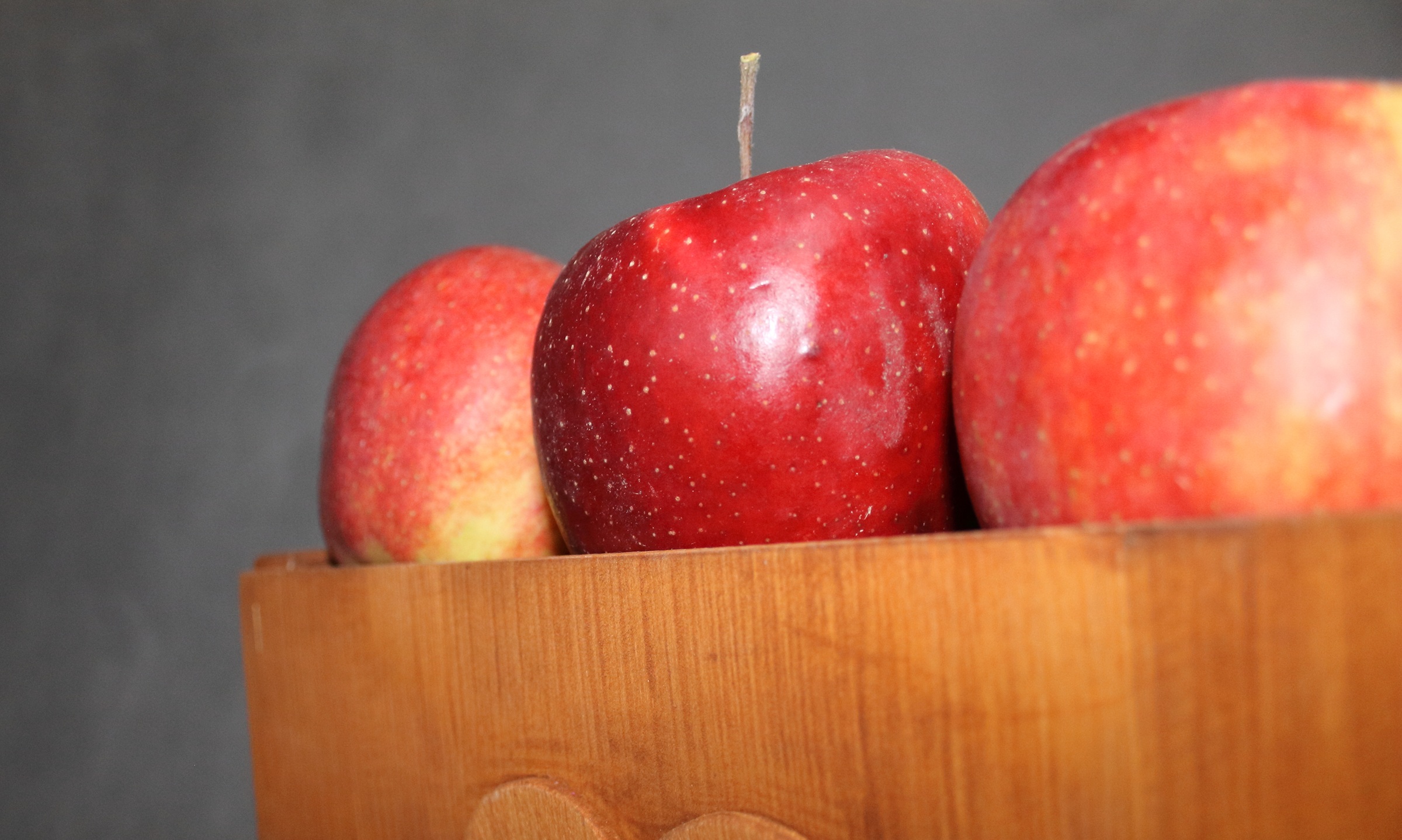 468d135272e98d033b0c8e3f823573b4