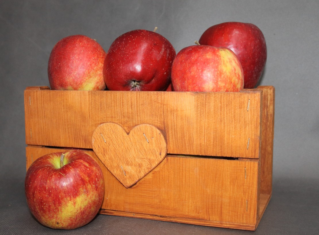 44b346554cb76bf0ed6f1928440c302a