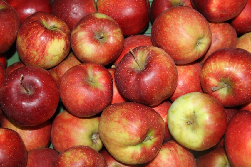 7b51a96a4d55d8d5762c25376699bd5b