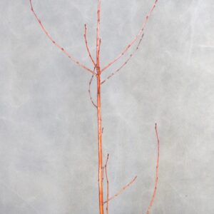 8a90d78316afb551691b8f18b527c022