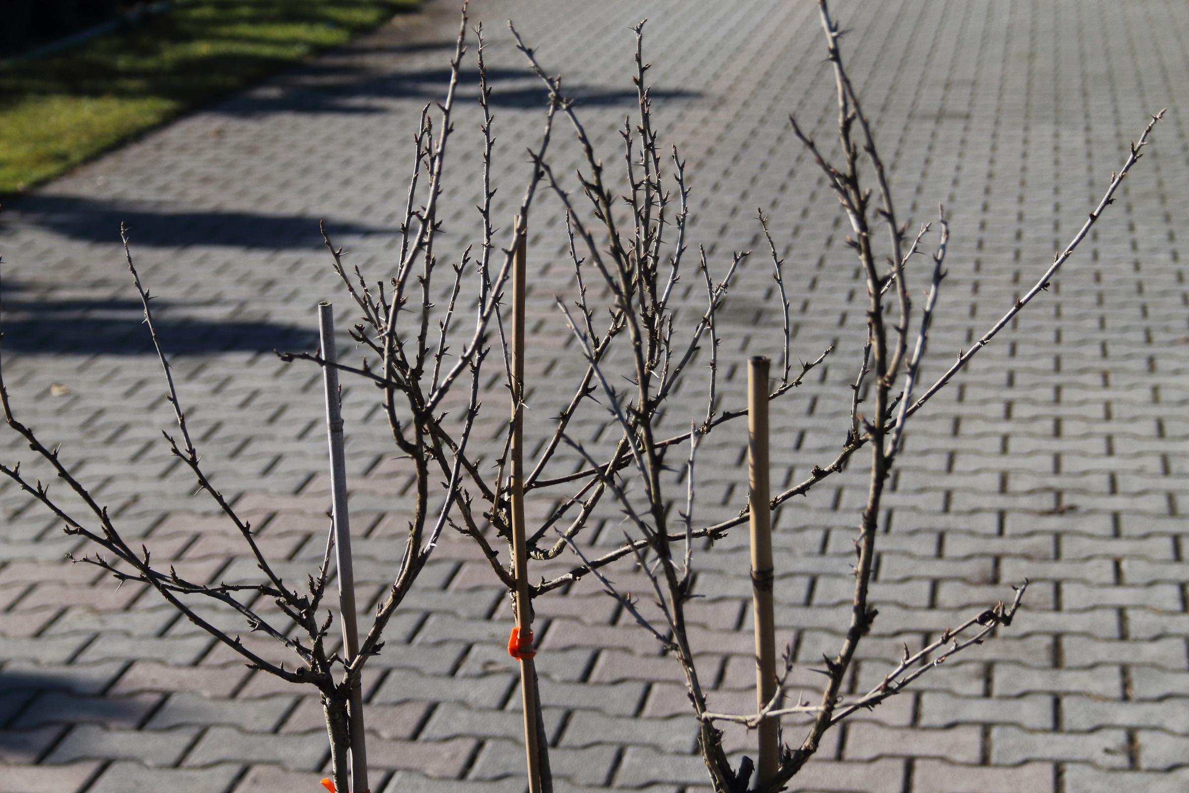 f28244d687802f5a6110965a35afd59f