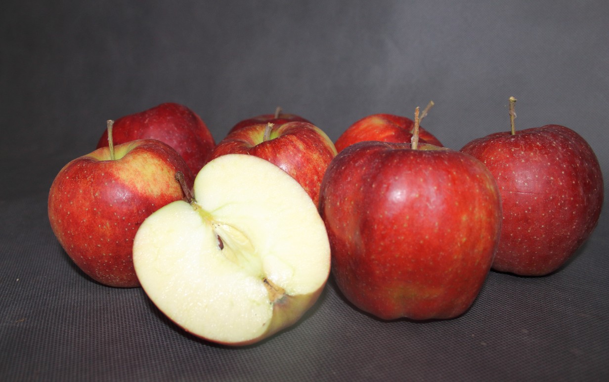 34c1c7a3e48b4f68ddf1e8a4244e4940