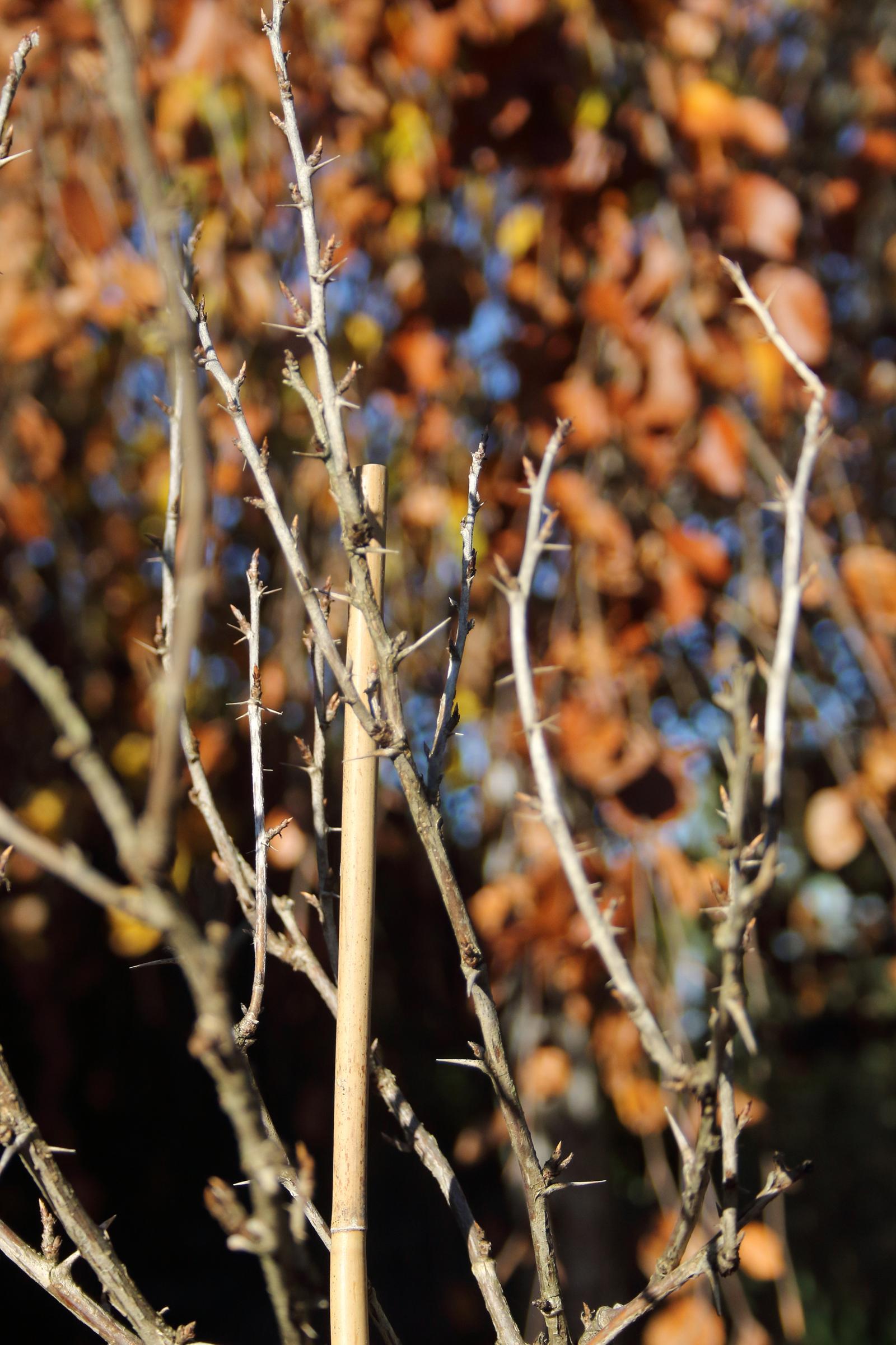 8dcd95770e226d72a05d7fed4128a971