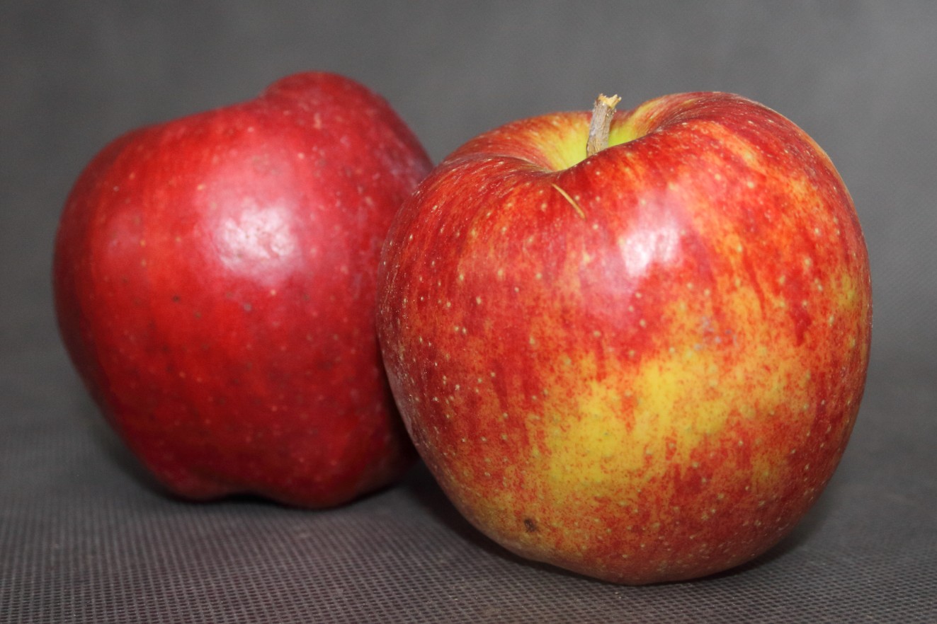 19b685629959e8b0e575653f300e955a