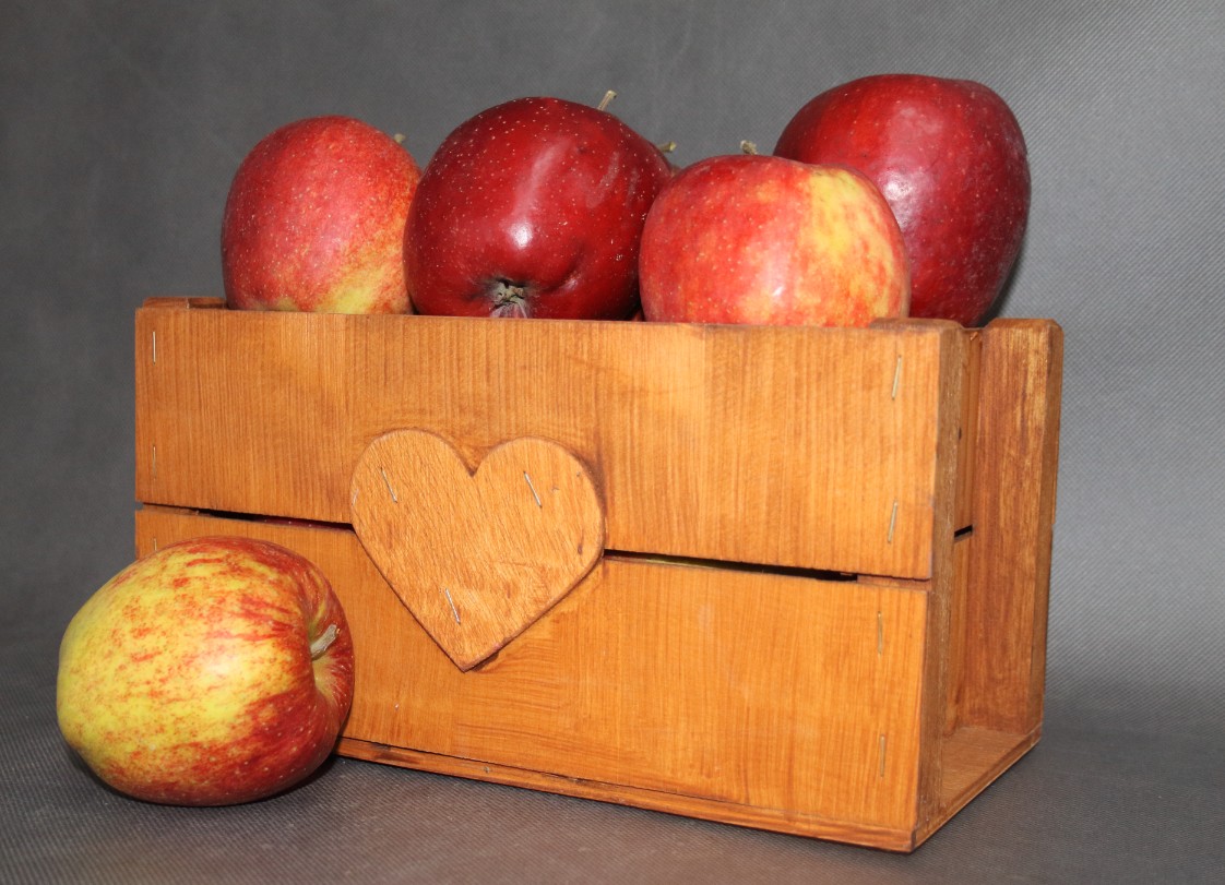 48d5e5660a06b7d48a892b3b09dbe950