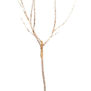 60aa20ea90c8bccbefa6bef56b3befcf