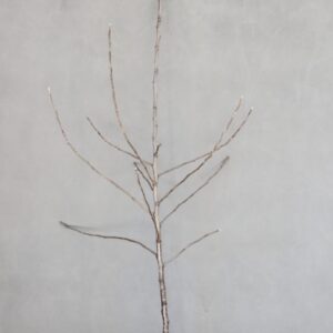 fad2b2d73d9c6cfb74dea99723ef59a9