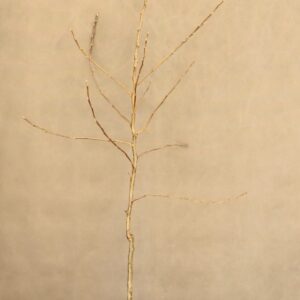 f034a2f6562330a832c1f2c86779dec4