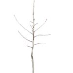 afeb0b01421f61dcde33deb1b1516d4f