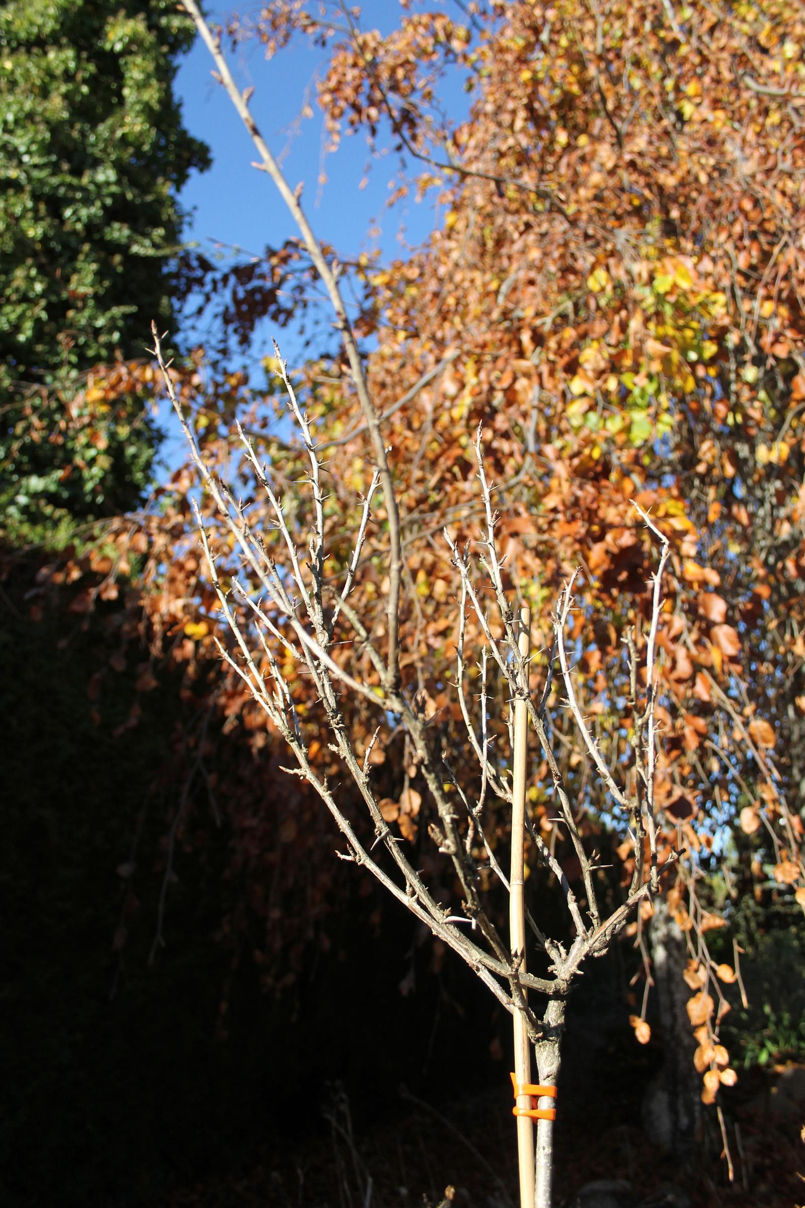 fe038b6561f88eaff030147aee1155d2