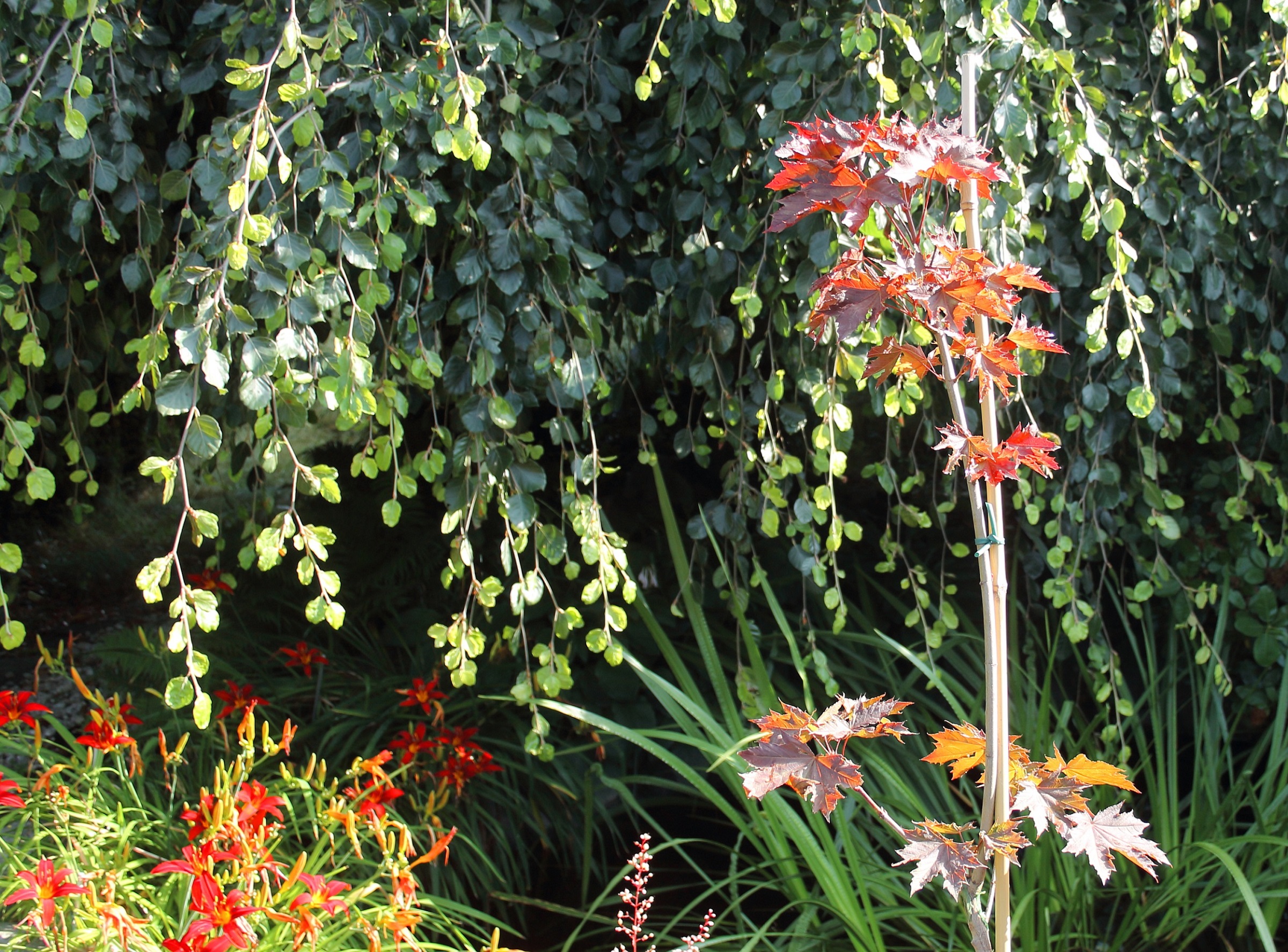 5aa21b4fdcf63c092dcb9e0c5de59665