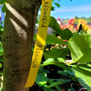 9f21b691c01b35b731787b9188006bdb