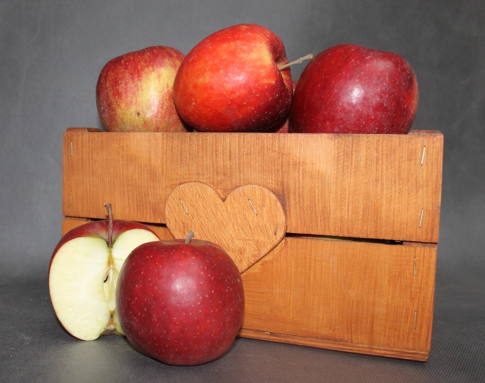 d618eadb938acce517d3f3bceecf5dcc