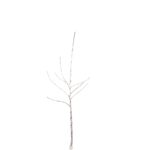 2d7776da19afd4bc2721bef4245df716