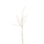 57125fcf975449170586cea010df84ef