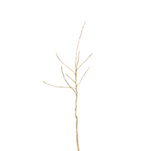 57125fcf975449170586cea010df84ef