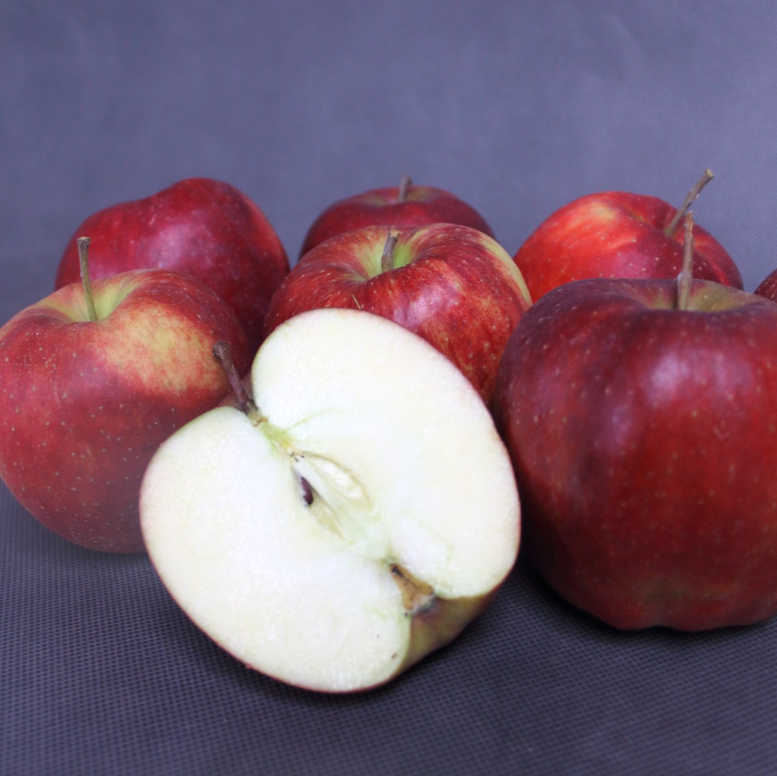 7ddf5854a93b70eac89467dddd888100